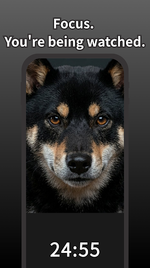 Shiba is Watching - Focus Screenshot 2