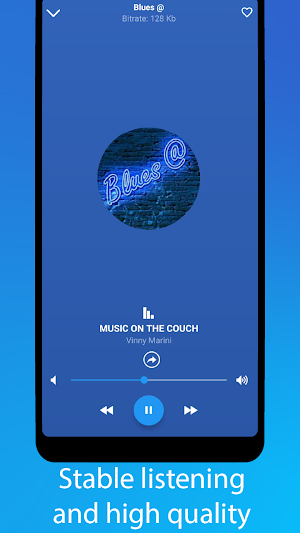 Blues Music Screenshot 2