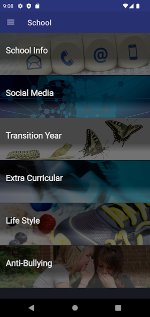 Wesley College, Dublin Screenshot 2
