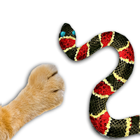 Catch the snake - game for cat