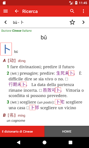 il dizionario di Cinese Screenshot 3