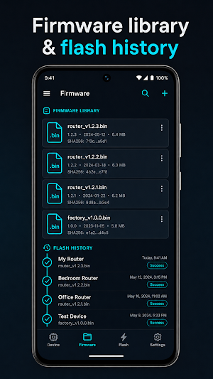 Flash Bridge Screenshot 3