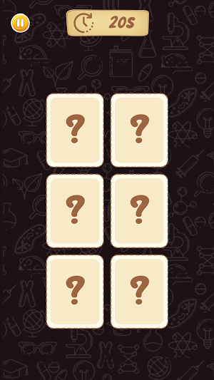 Match The BBQ Screenshot 1