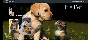 Little Pet Screenshot 0