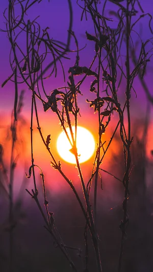Sunset Wallpaper Screenshot 1