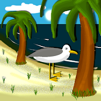 Seagull Life
