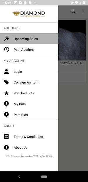 Diamond Horse Sales Screenshot 3