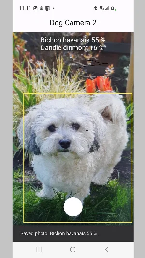 Dog Camera 2 Screenshot 1