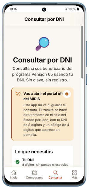 Guía Pensión 65 Perú Screenshot 2