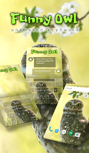 Funny Owl Animated Keyboard +  Screenshot 0