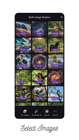 Bulk image rotator Screenshot 1