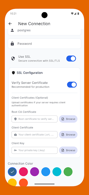 PgSQL Visual Manager Screenshot 2