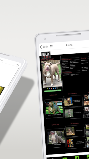 QBN App Screenshot 3