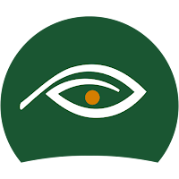 Avizio