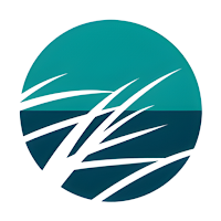 Sea Grove Recovery