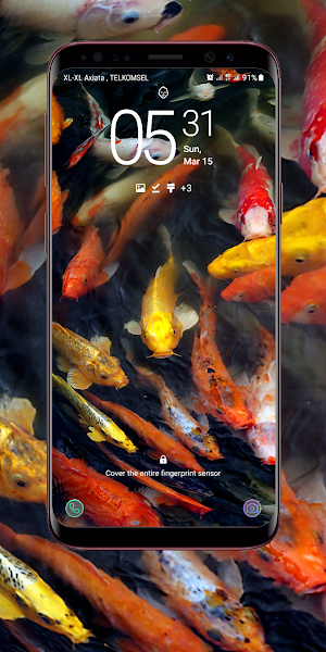 Koi Wallpaper Screenshot 1