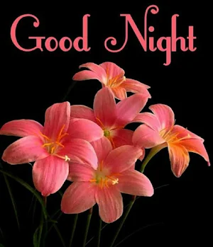 Good night Images Screenshot 2
