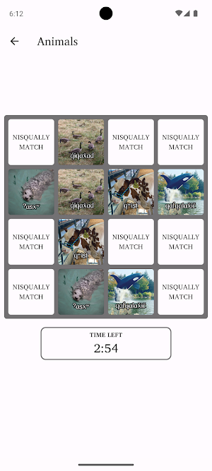 Nisqually Match Screenshot 2