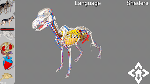 3D Dog Explorer Screenshot 0