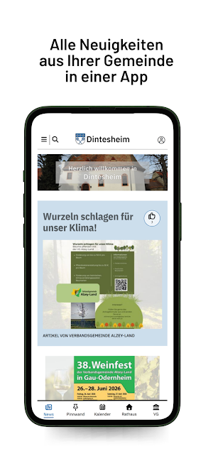 Dintesheim Screenshot 0