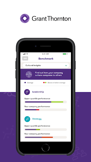 Business Risk Services Screenshot 1