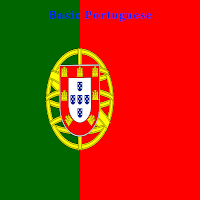 Basic Portuguese
