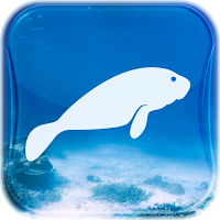 TC Manatees