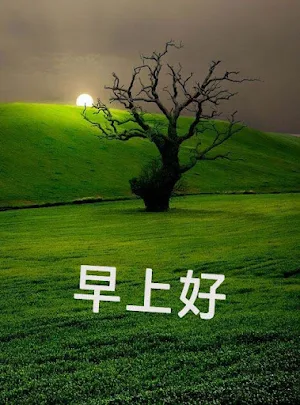 早上好 GIF 2023 Screenshot 2