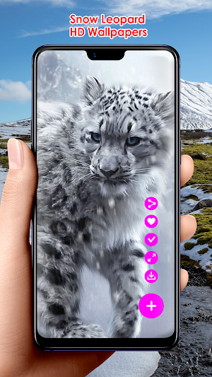 Snow Leopard HD Wallpapers Screenshot 2