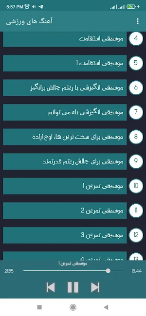 آهنگ های ورزشی ایرانی Screenshot 1