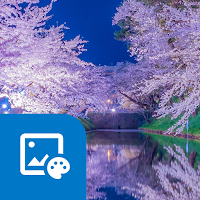 Sakura by the Riverside
