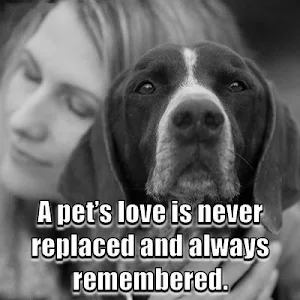 Animal Lover Quotes - Dog Lover Status - Cat Love Screenshot 2