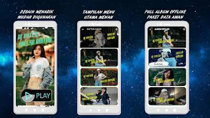 DJ Sallsa Bintan Full Offline Screenshot 1