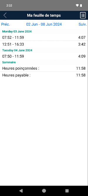 Servex Punch Screenshot 3