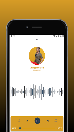 DIAN ANIC MP3 OFFLINE Screenshot 2