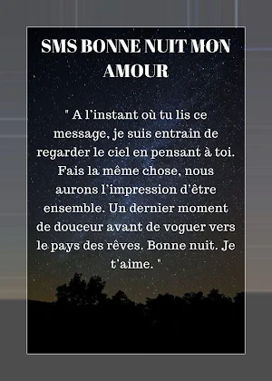 Bonne Nuit Screenshot 0