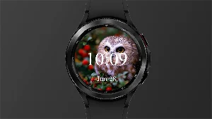 Owl - Watch Face Screenshot 0
