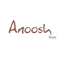 Ansh Team