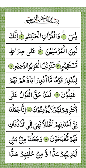 Surah Yasin 786 Tasbih Counter Screenshot 1