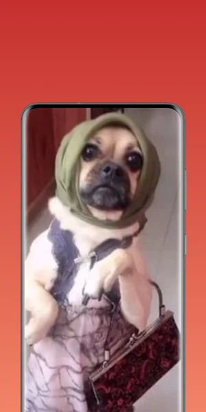 funny wallpaper Screenshot 2