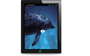 Dolphin Sound Screenshot 3