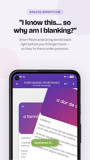 Learn European Portuguese Screenshot 3