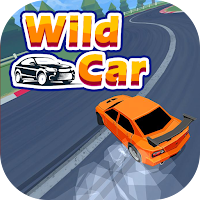Wild Car Race