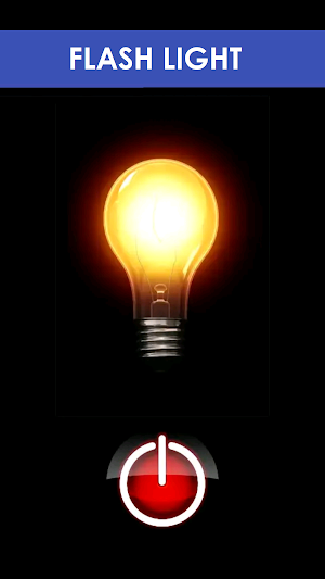 Torch Pro Screenshot 3