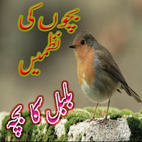 Urdu Poems - Bachonn Ki Nazmen