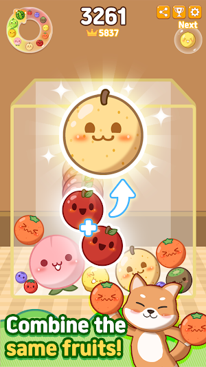 PupFruit - Merge Mania Screenshot 1