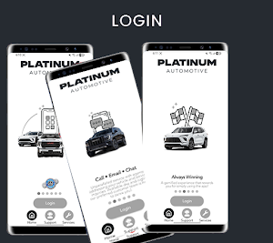 PLATINUM CAR CARE Screenshot 0