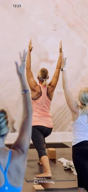 Soul Project Yoga & Wellness Screenshot 0