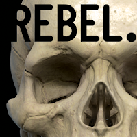SKULL Graph