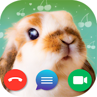 Fake Call: Bunny